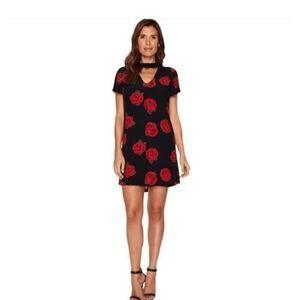 SANCTUARY dress Paris Rose floral short sleeve‎ lined small gothcore fairy NEW